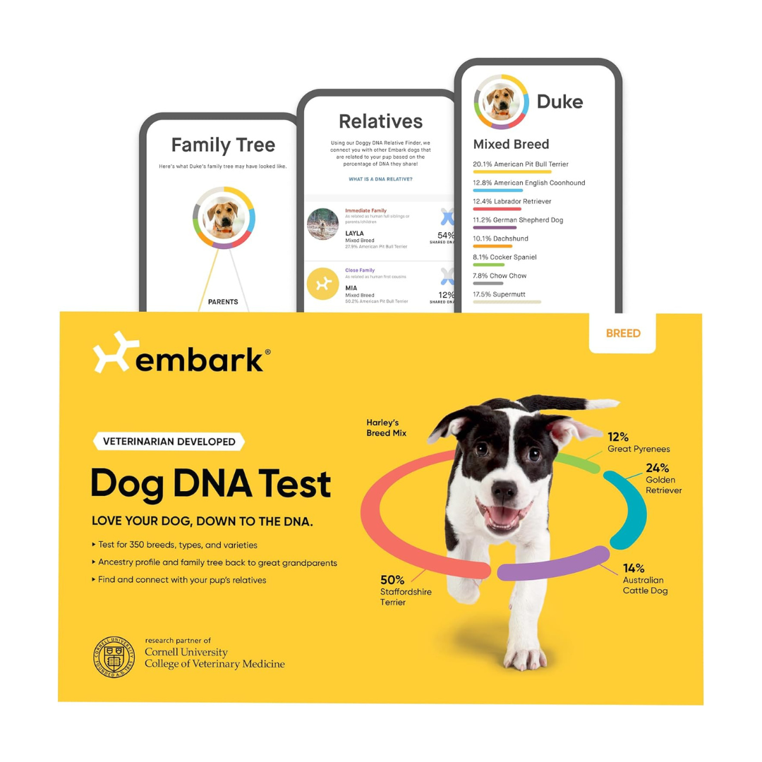 Embark Dog DNA Test Kit