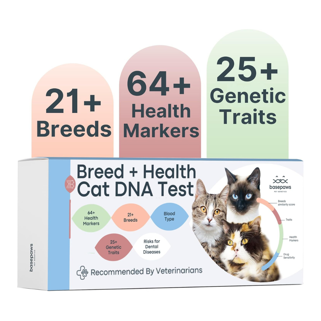 Basepaws Cat DNA Test Kit