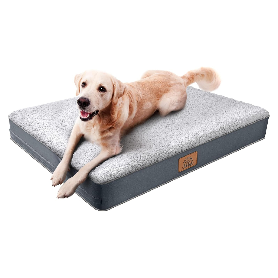 Orthopedic Pet Bed