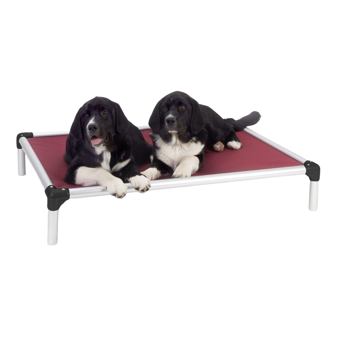 Karunda Chewproof Aluminum Pet Bed