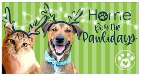 Home For The Pawlidays's wishlist