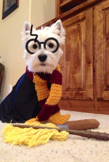 Harry Potter Puppies's wishlist