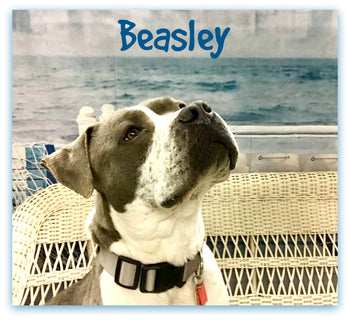 Beasley's wishlist