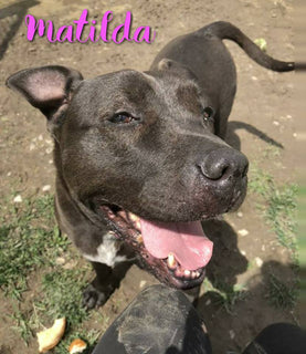 Matilda's wishlist
