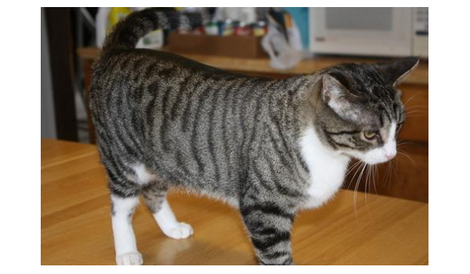 Marlowe's wishlist