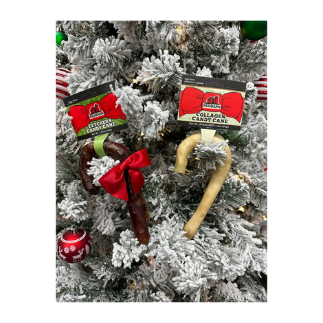 Candy Cane Holiday Dog Bundle