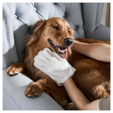 HICC Pet® Deodorizing Pet Glove Wipes for Dogs & Cats