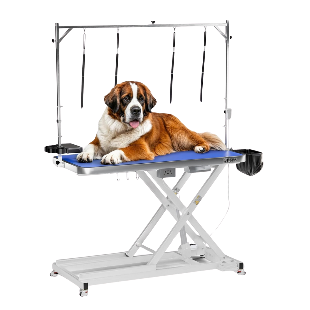 Professional Electric Dog Grooming Table