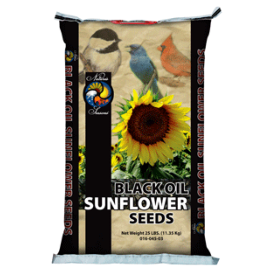 Nature's Seasons Sunflower Seeds for Birds