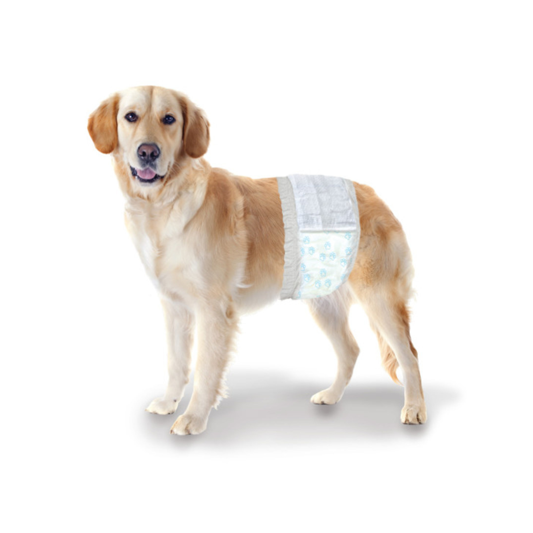 Wee-Wee® Disposable Male Dog Wraps