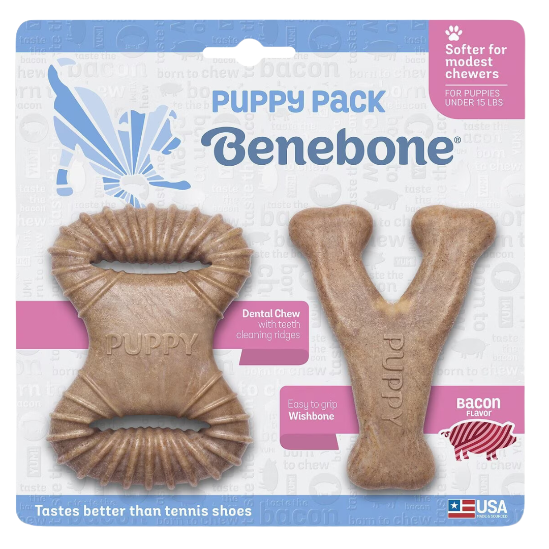 Benebone Bacon Puppy Dental Chew & Wishbone