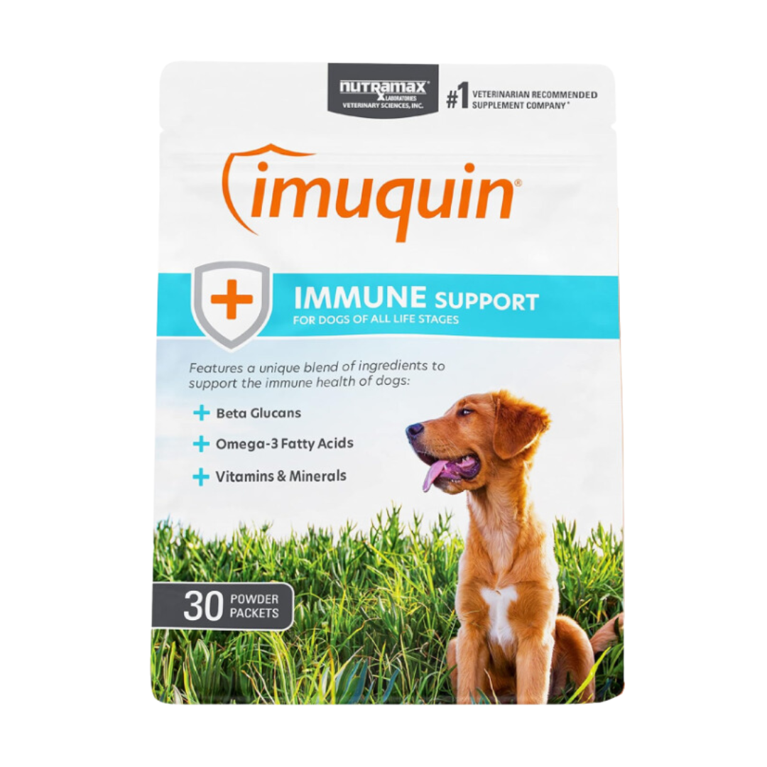 Imuquin Immune Support Dog Stick Pack