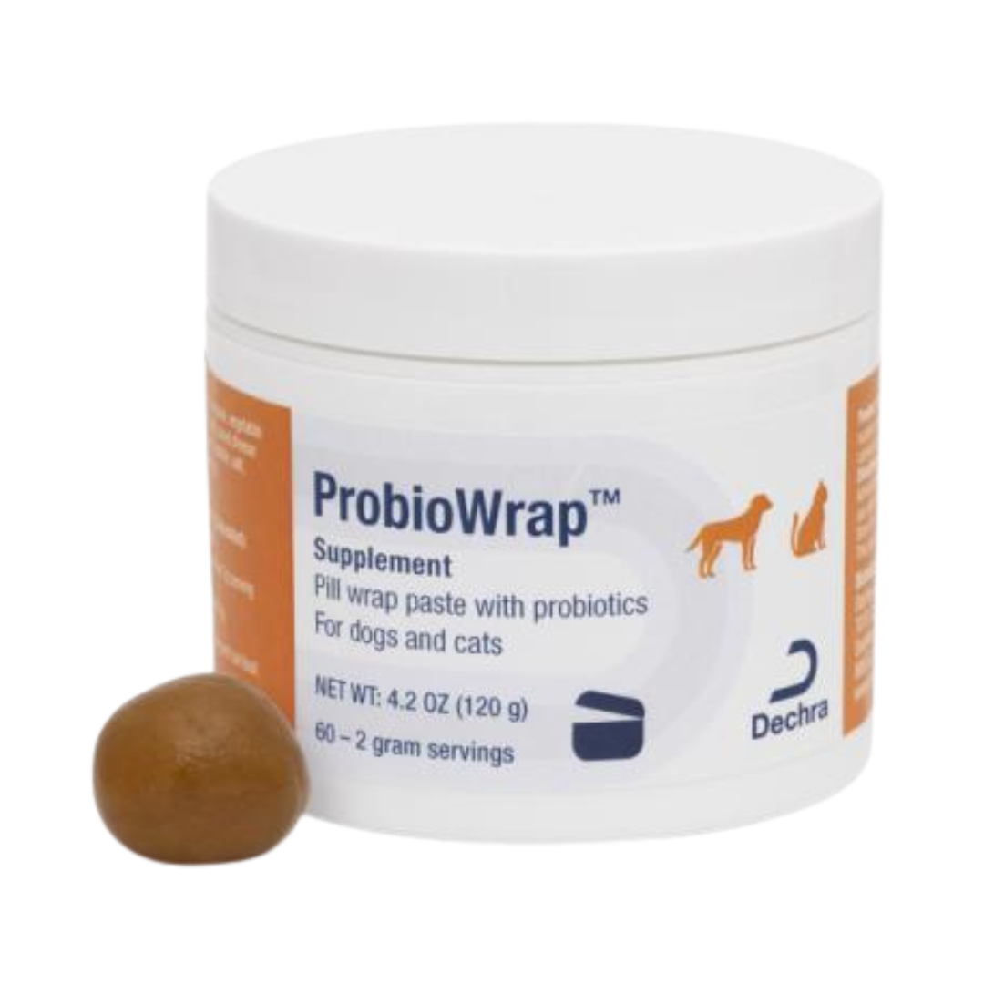 ProbioWrap Pill Wrap Paste with Probiotics