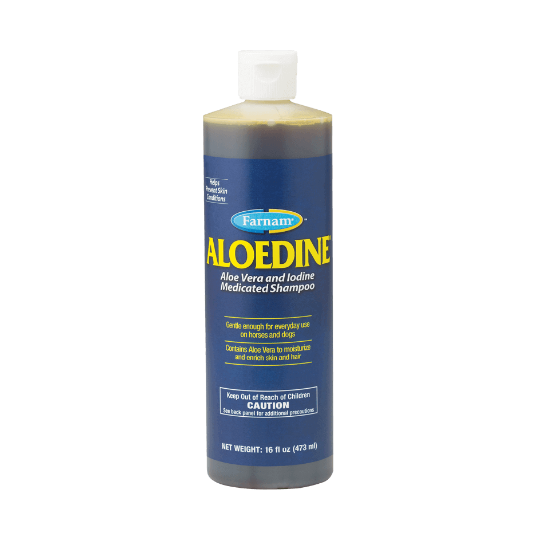 Farnam Aloedine Medicated Shampoo for Horses and Dogs