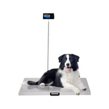 Digital Livestock Large Stainless Steel Scale for Animals