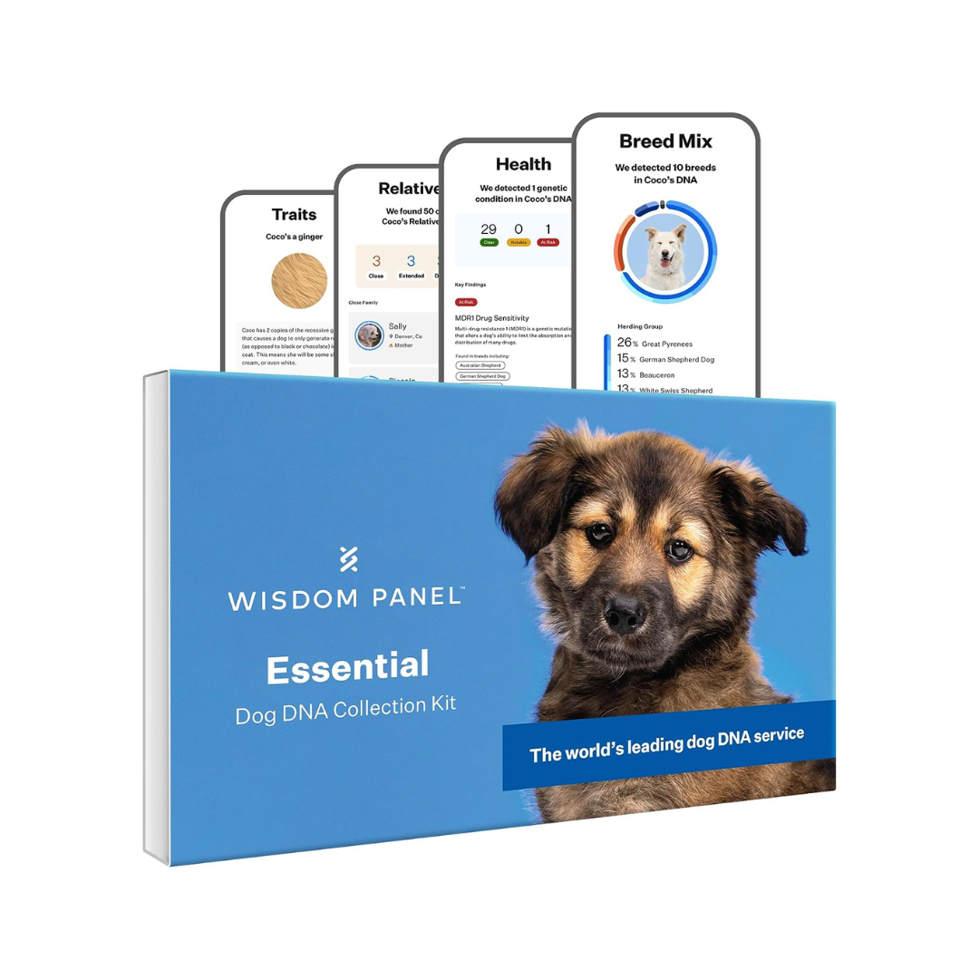 Wisdom Panel Essential Dog DNA Kit