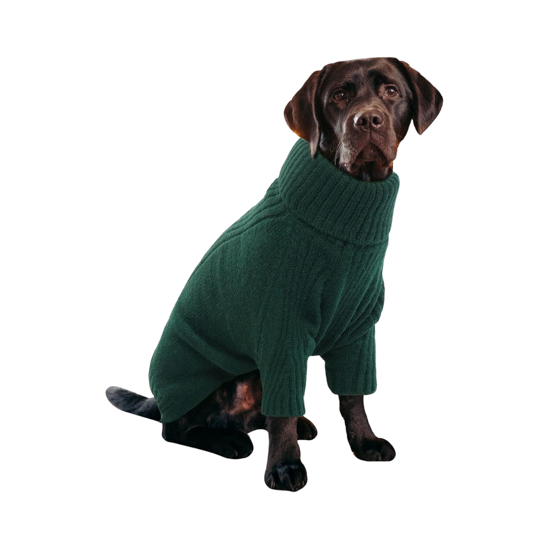 Turtleneck Knit Dog Sweater