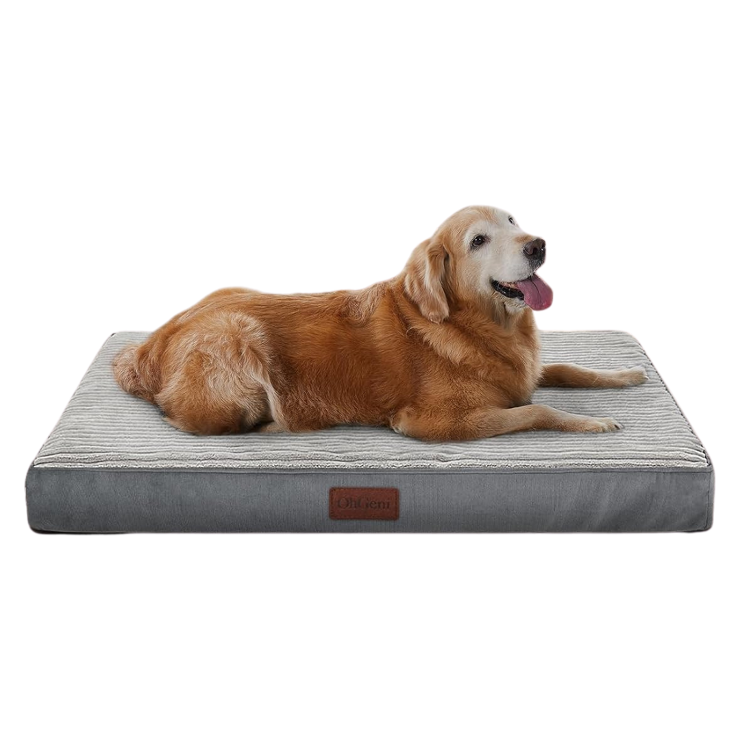 Orthopedic Pet Bed