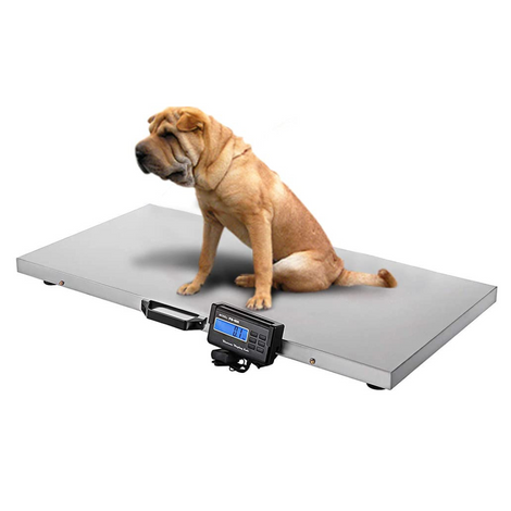 Digital Livestock Large Stainless Steel Scale for Animals