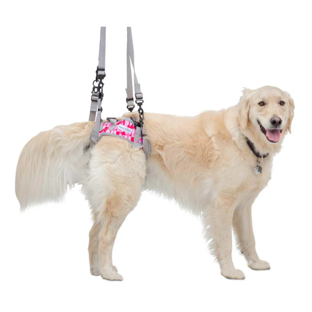 Walkin' Warrior Rear Harness, Pink