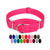 Martingale Heavyduty Nylon Dog Collar