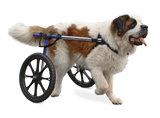 Walkin' Wheels Large Wheelchair (70-180lbs) - Blue