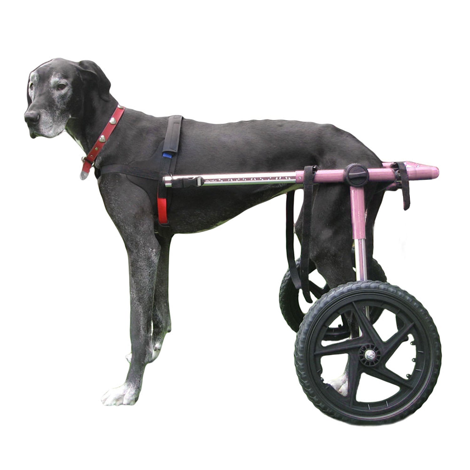 Walkin' Wheels Large Wheelchair (70-180lbs) - Pink