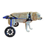 Walkin' Wheels Large Wheelchair (70-180lbs) - Blue