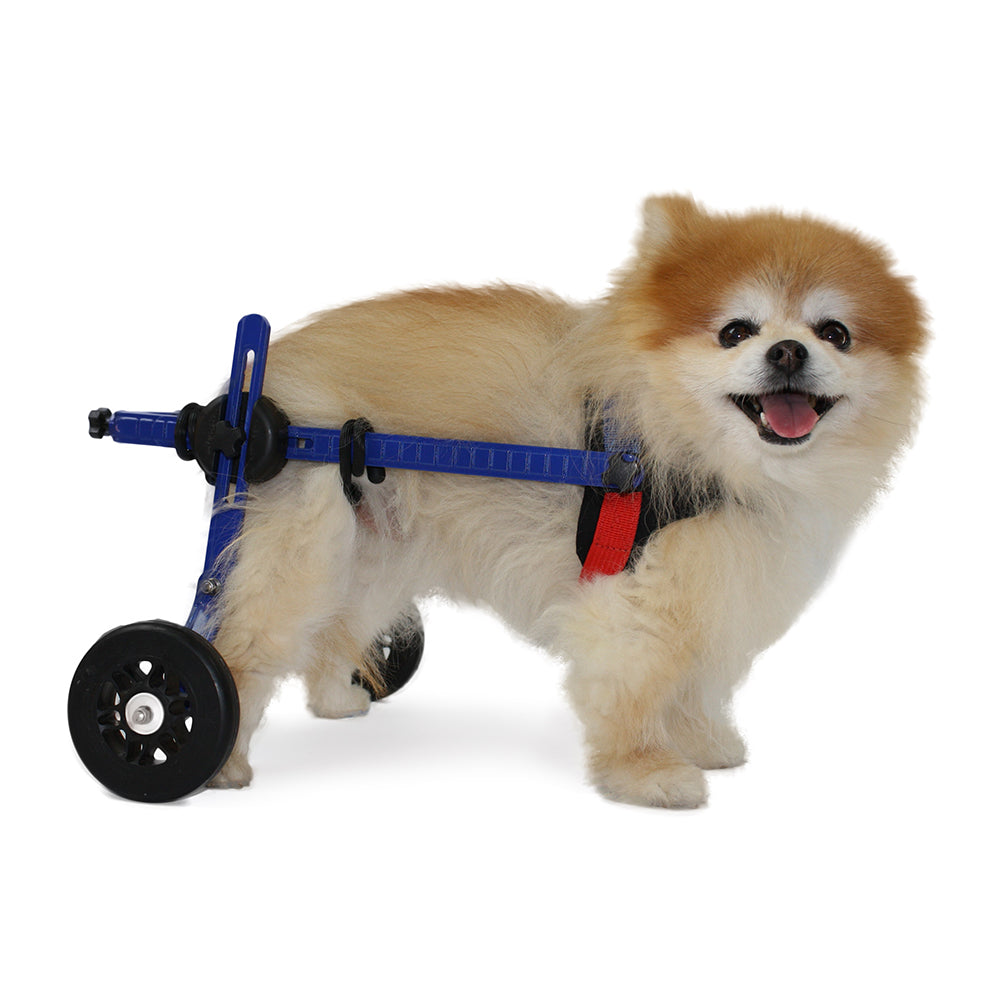 Walkin' Wheels Mini Wheelchair (2-10lbs)