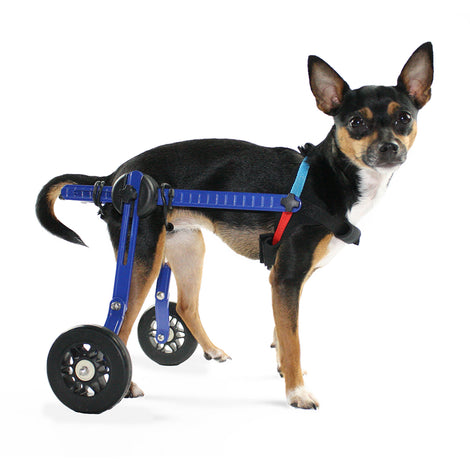 Walkin' Wheels Mini Wheelchair (2-10lbs)