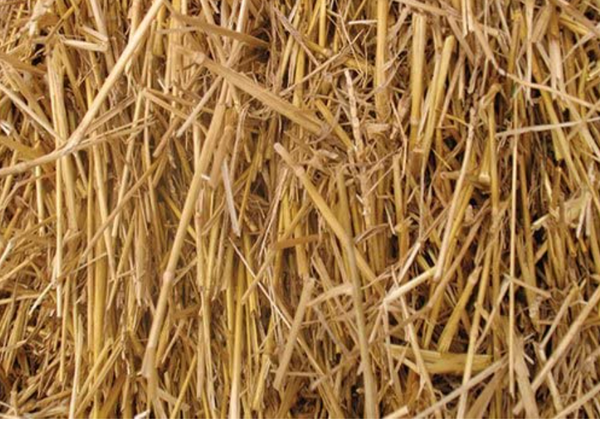 Thunder Acres Natural Wheat Straw