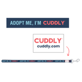 Adopt me, I'm CUDDLY Leash