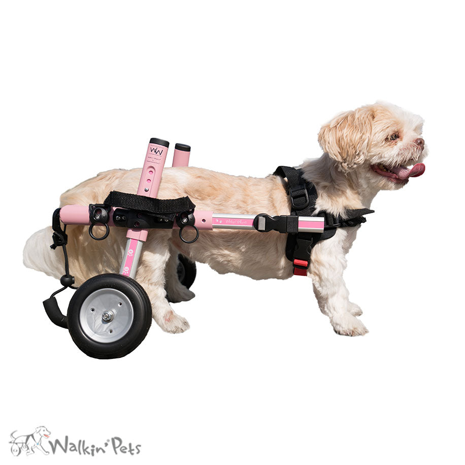 Walkin' Wheels Small Wheelchair (10-25lbs) - Pink